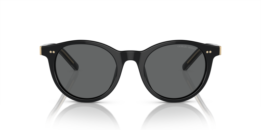 Giorgio Armani AR8199U 587587 - 50 - Güneş Gözlükleri