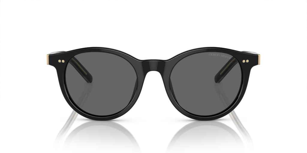 Giorgio Armani AR8199U 587587 50 Güneş Gözlükleri