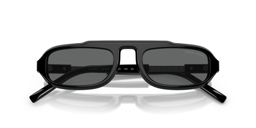 Giorgio Armani AR8203 587587 51 Güneş Gözlükleri