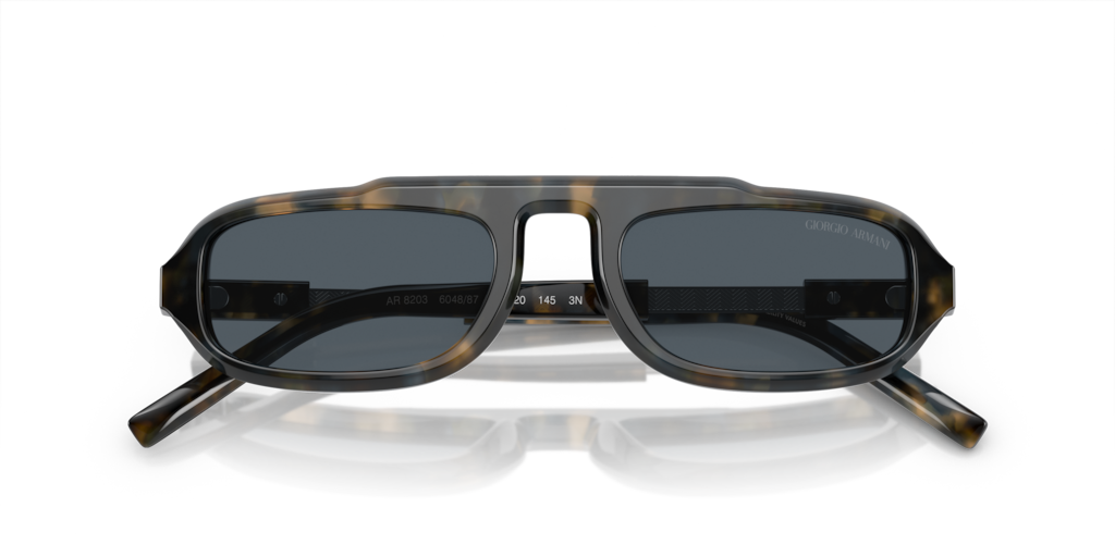 Giorgio Armani AR8203 604887