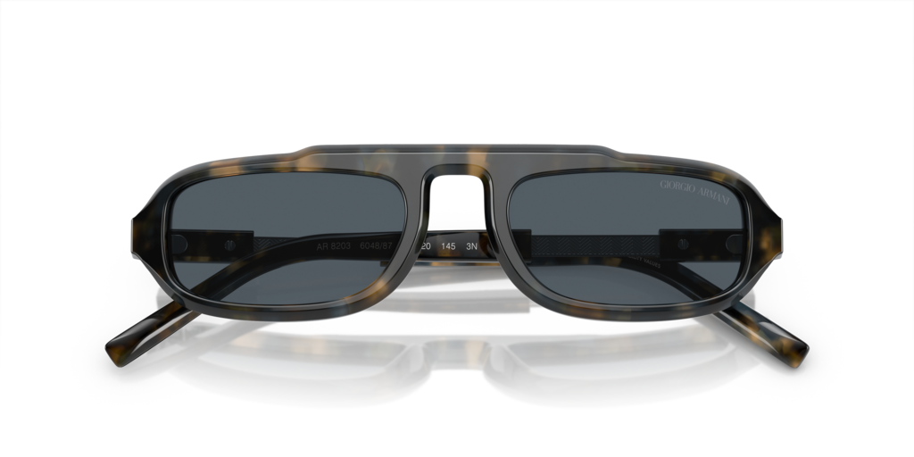 Giorgio Armani AR8203 604887 51 Güneş Gözlükleri