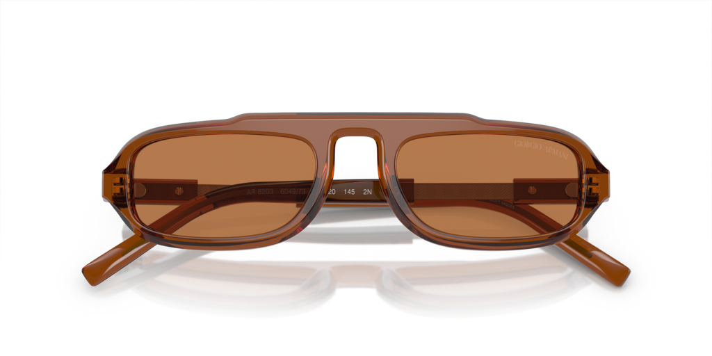 Giorgio Armani AR8203 604973