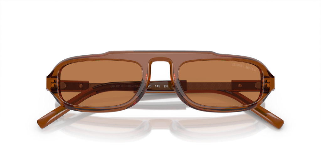 Giorgio Armani AR8203 604973