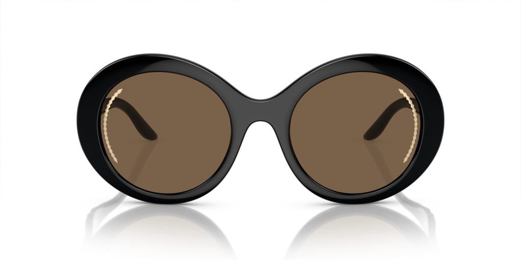 Giorgio Armani AR8204 500173 53 Güneş Gözlükleri