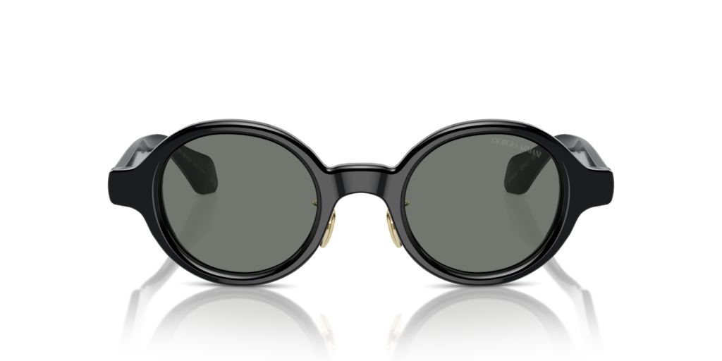 Giorgio Armani AR8205 6060/1 46 Güneş Gözlükleri