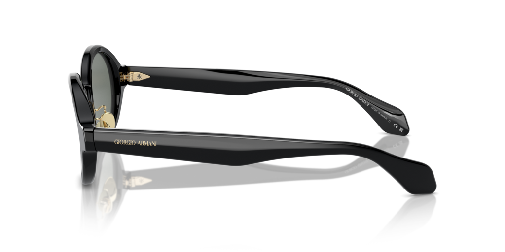 Giorgio Armani AR8205 6060/1 46 Güneş Gözlükleri