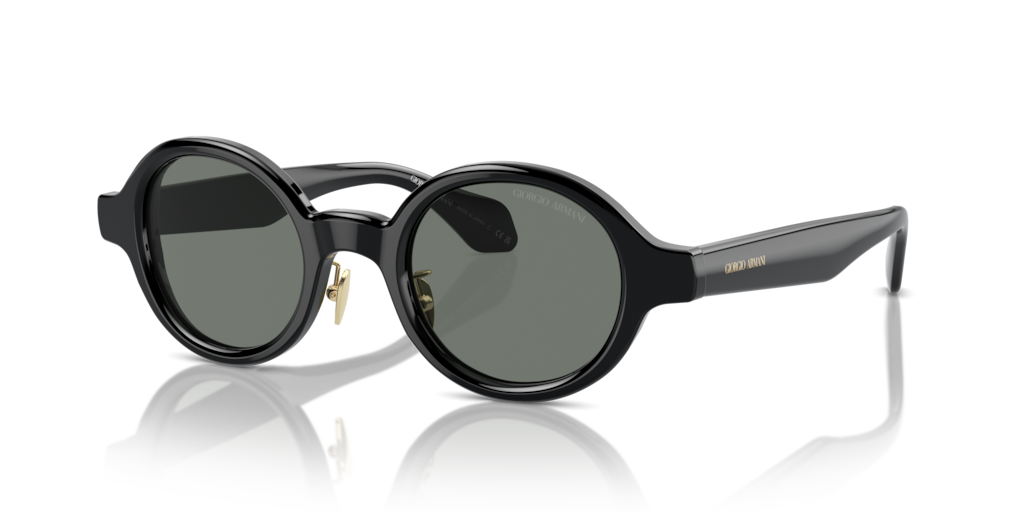 Giorgio Armani AR8205 6060/1 46 Güneş Gözlükleri