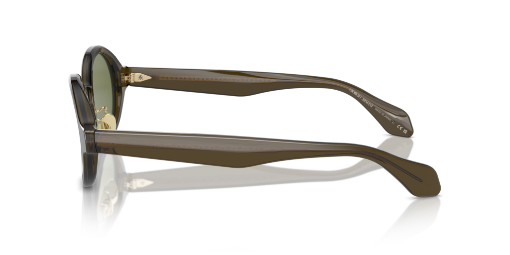 Giorgio Armani AR8205 60612A 46 Güneş Gözlükleri