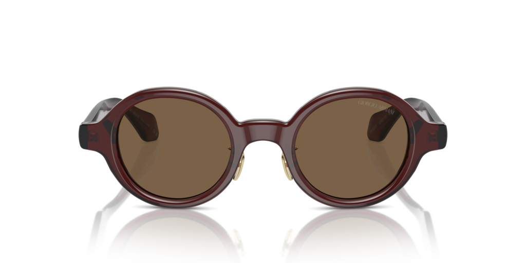 Giorgio Armani AR8205 606273 46 Güneş Gözlükleri