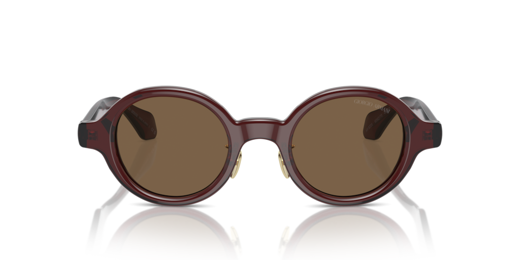 Giorgio Armani AR8205 606273 46 Güneş Gözlükleri