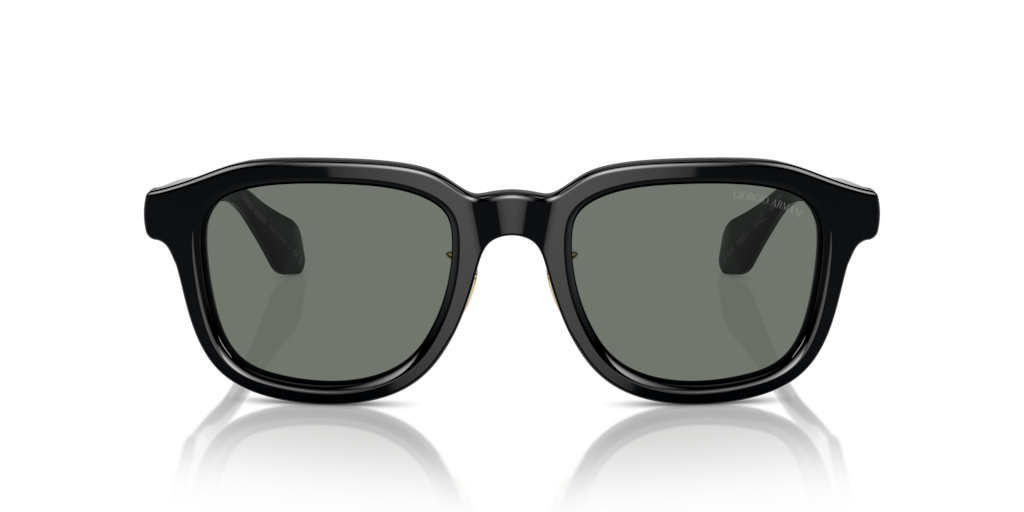 Giorgio Armani AR8206 6060/1 51 Güneş Gözlükleri