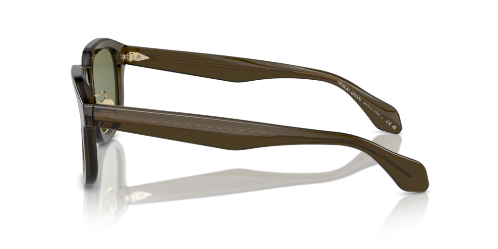 Giorgio Armani AR8206 60612A 51 Güneş Gözlükleri