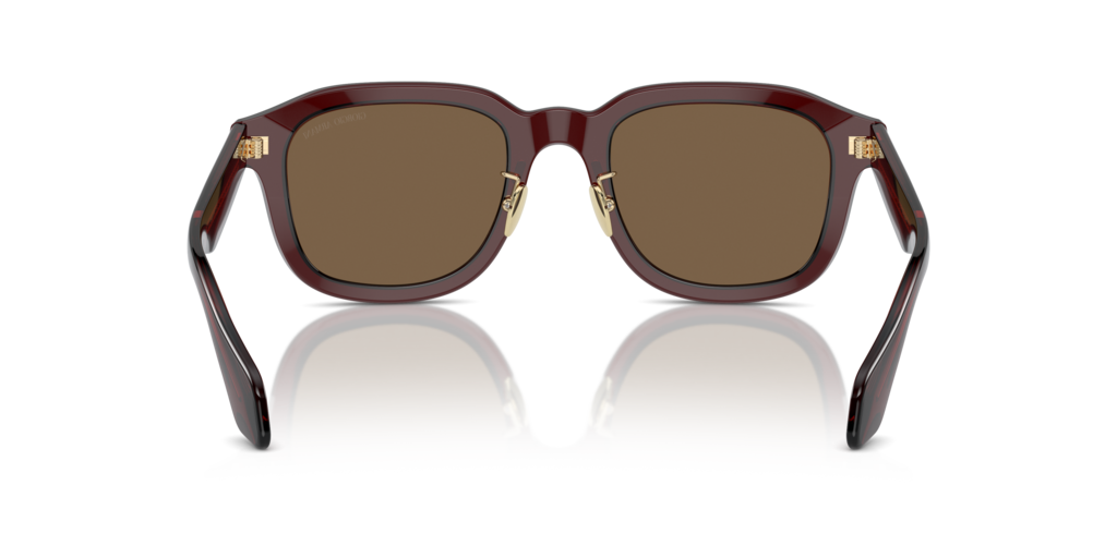 Giorgio Armani AR8206 606273 51 Güneş Gözlükleri