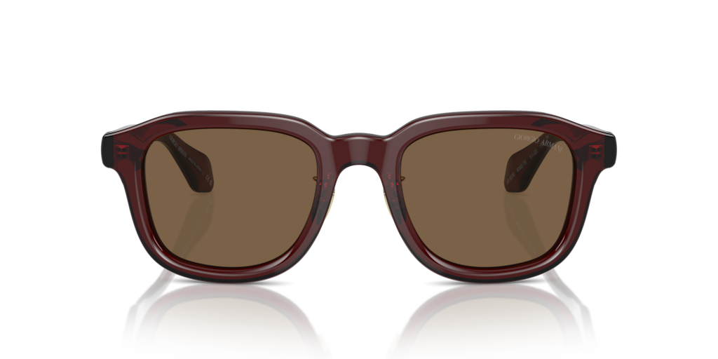 Giorgio Armani AR8206 606273 51 Güneş Gözlükleri