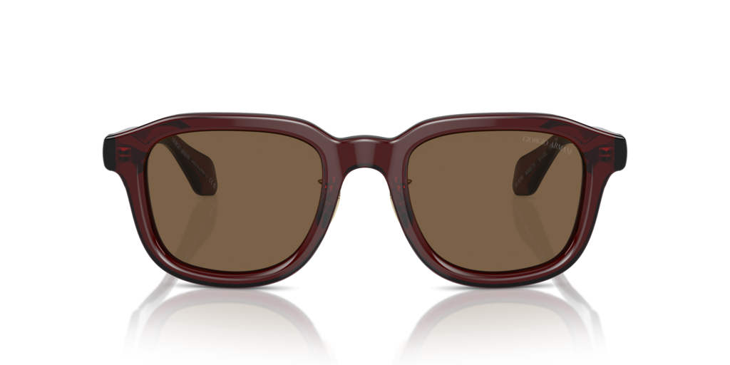 Giorgio Armani AR8206 606273 51 Güneş Gözlükleri