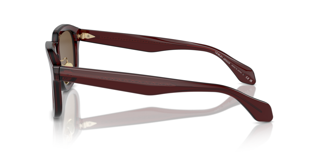 Giorgio Armani AR8206 606273 51 Güneş Gözlükleri