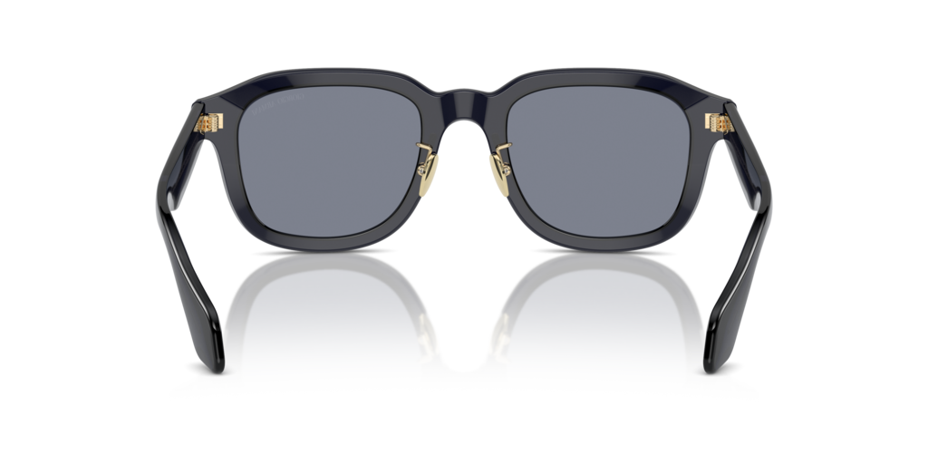 Giorgio Armani AR8206 606419 51 Güneş Gözlükleri