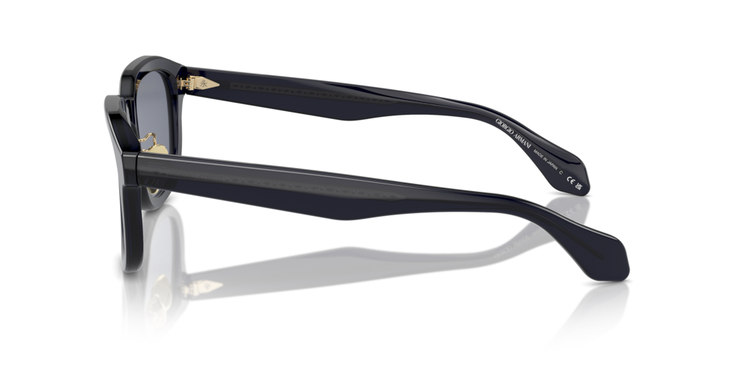 Giorgio Armani AR8206 606419 51 Güneş Gözlükleri