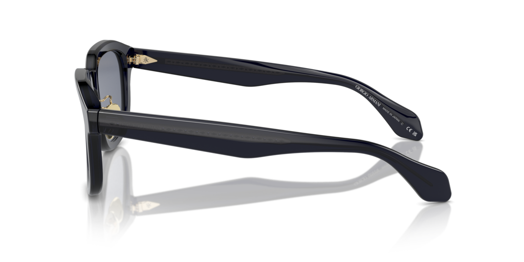 Giorgio Armani AR8206 606419 51 Güneş Gözlükleri