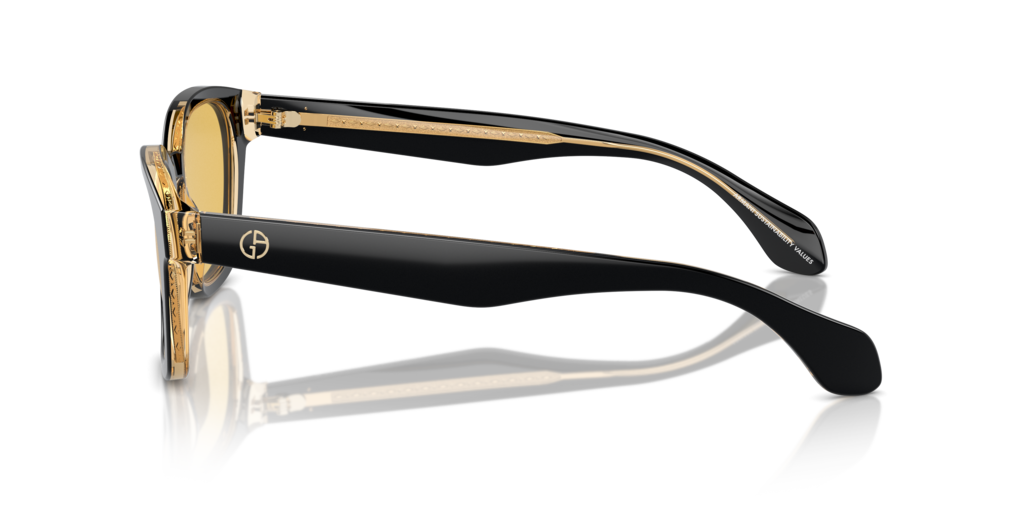 Giorgio Armani AR8207 608485