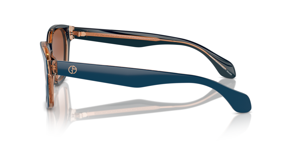 Giorgio Armani AR8207 608513 50 Güneş Gözlükleri