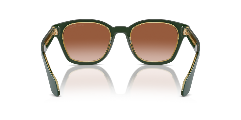 Giorgio Armani AR8207 608613 50 Güneş Gözlükleri