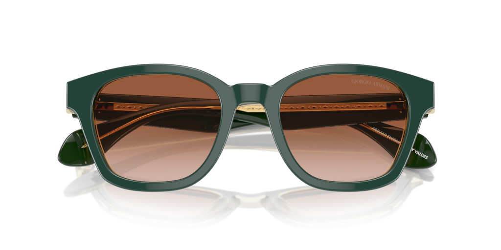 Giorgio Armani AR8207 608613 50 Güneş Gözlükleri