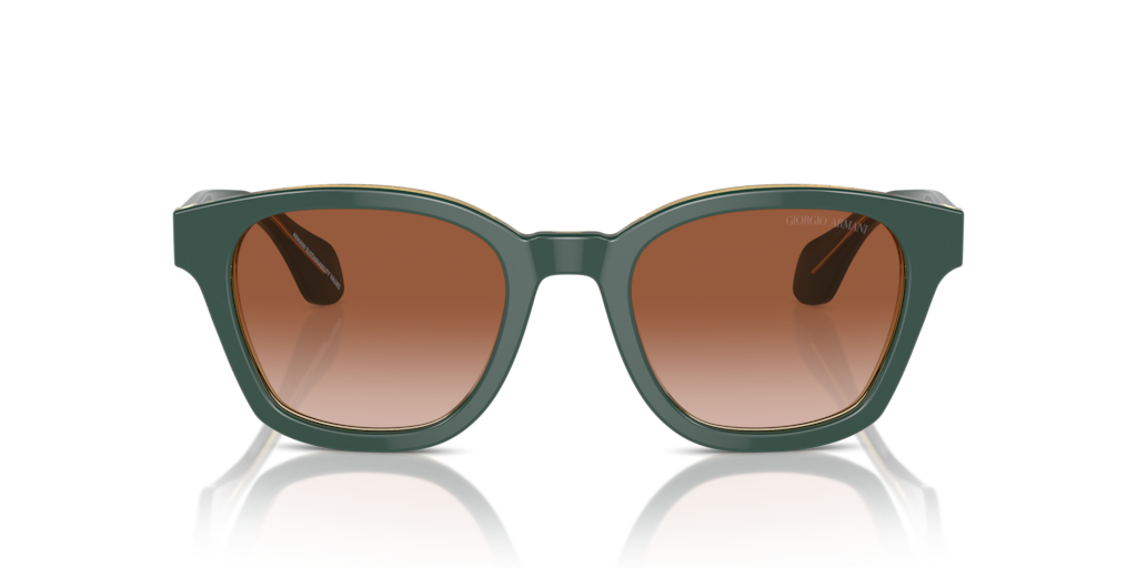 Giorgio Armani AR8207 608613 50 Güneş Gözlükleri