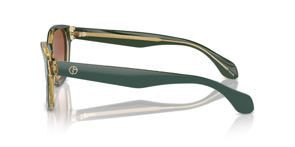 Giorgio Armani AR8207 608613 50 Güneş Gözlükleri