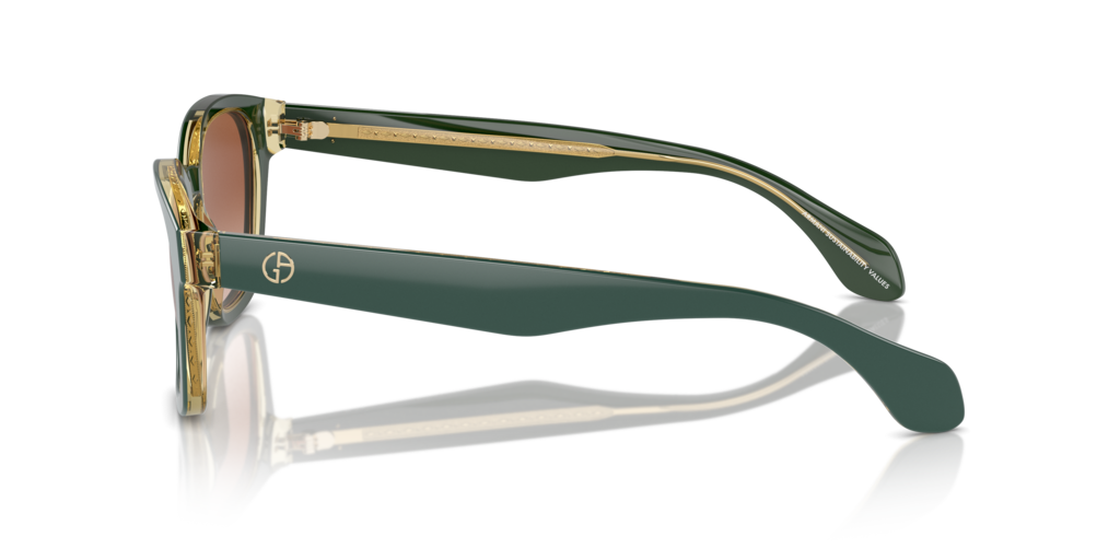 Giorgio Armani AR8207 608613 50 Güneş Gözlükleri