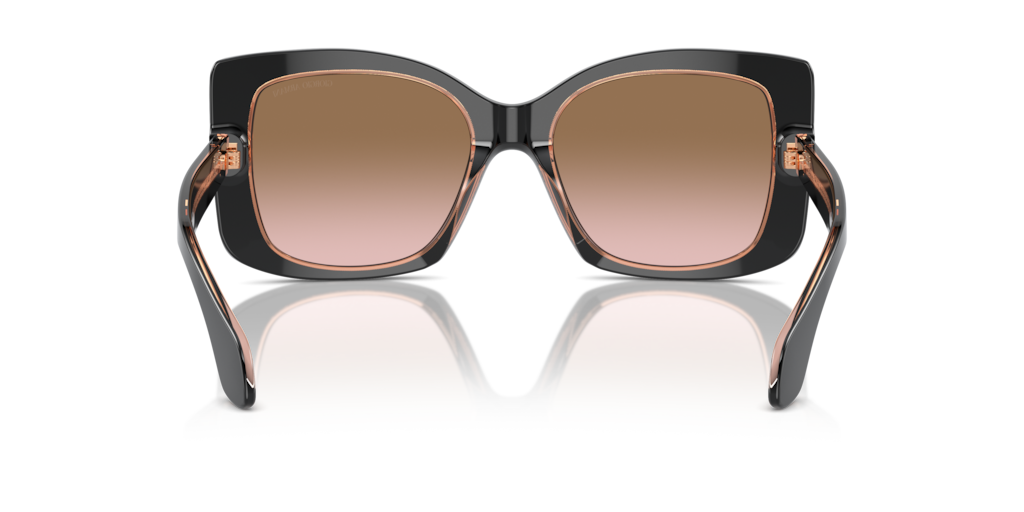 Giorgio Armani AR8208U 608911 55 Güneş Gözlükleri