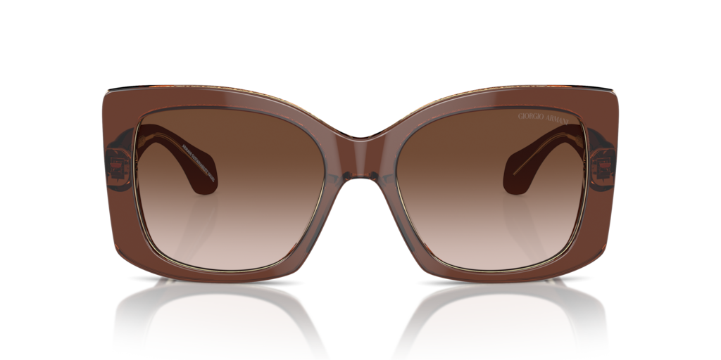 Giorgio Armani AR8208U 609013