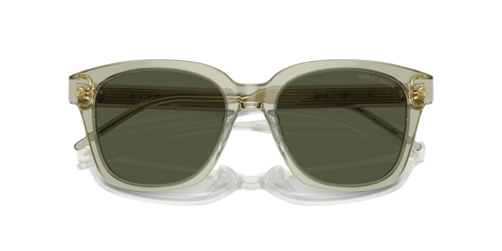 Giorgio Armani AR8210U 608331 52 Güneş Gözlükleri