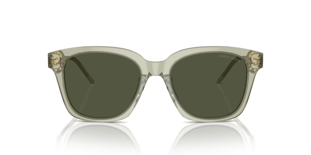 Giorgio Armani AR8210U 608331 52 Güneş Gözlükleri