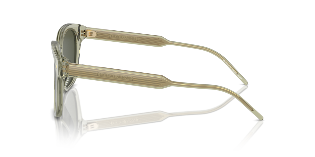 Giorgio Armani AR8210U 608331 52 Güneş Gözlükleri