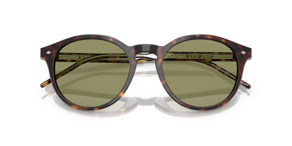 Giorgio Armani AR8211 587914 52 Güneş Gözlükleri