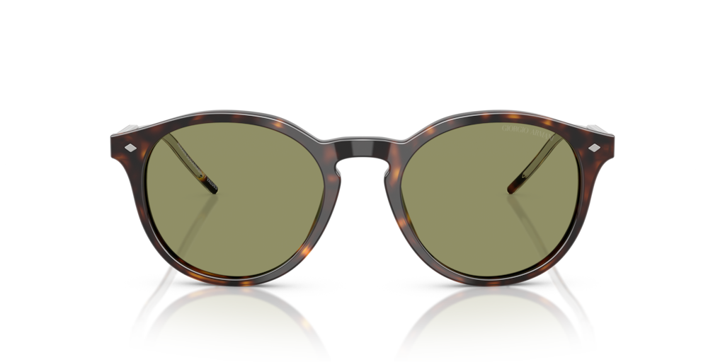 Giorgio Armani AR8211 587914 52 Güneş Gözlükleri