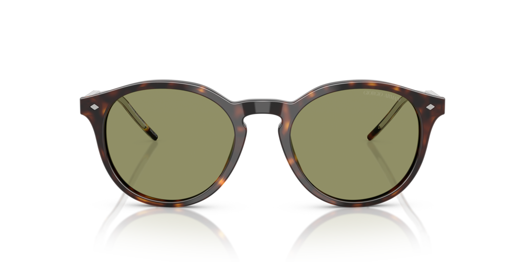 Giorgio Armani AR8211 587914 52 Güneş Gözlükleri