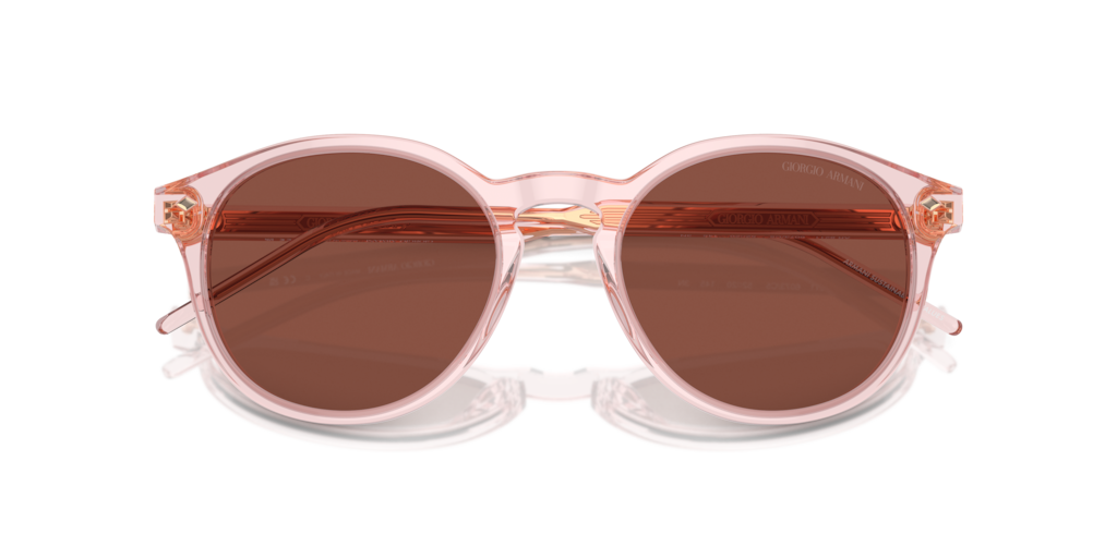 Giorgio Armani AR8211 6073C5