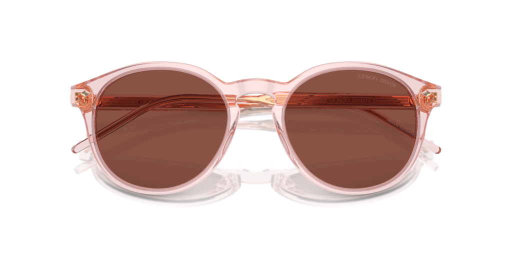 Giorgio Armani AR8211 6073C5