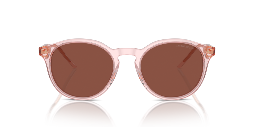 Giorgio Armani AR8211 6073C5