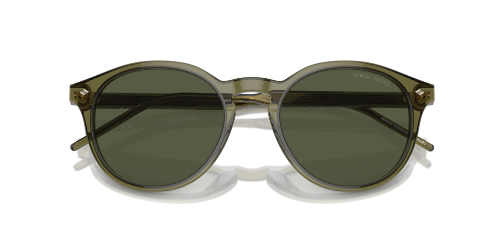 Giorgio Armani AR8211 607452 52 Güneş Gözlükleri