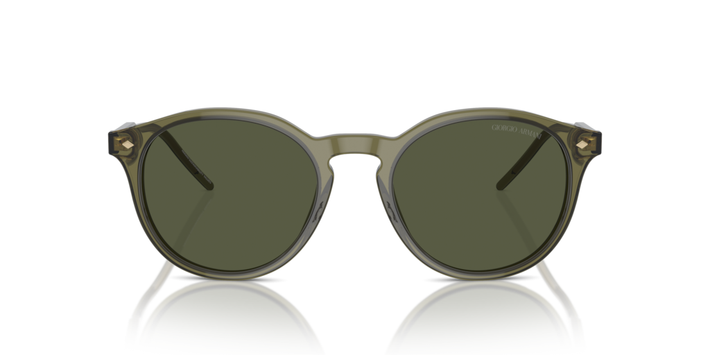 Giorgio Armani AR8211 607452 52 Güneş Gözlükleri