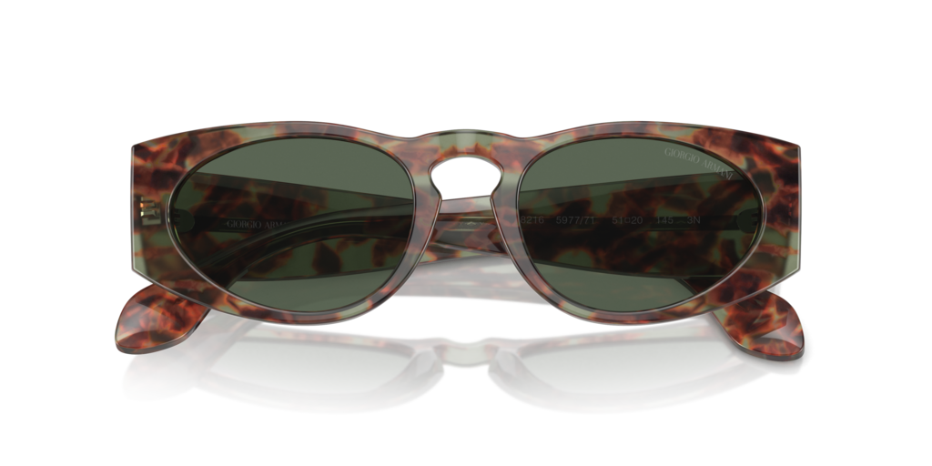 Giorgio Armani AR8216 597771