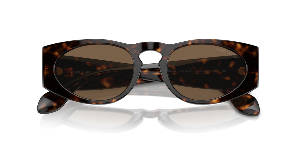 Giorgio Armani AR8216 612473 51 Güneş Gözlükleri