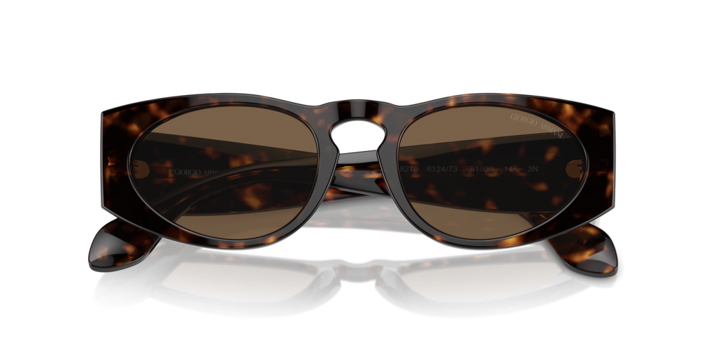 Giorgio Armani AR8216 612473 51 Güneş Gözlükleri