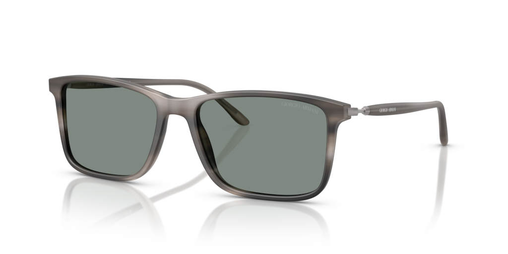 Giorgio Armani AR8218 616611 56 Güneş Gözlükleri