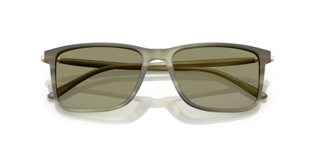 Giorgio Armani AR8218 61682A 56 Güneş Gözlükleri