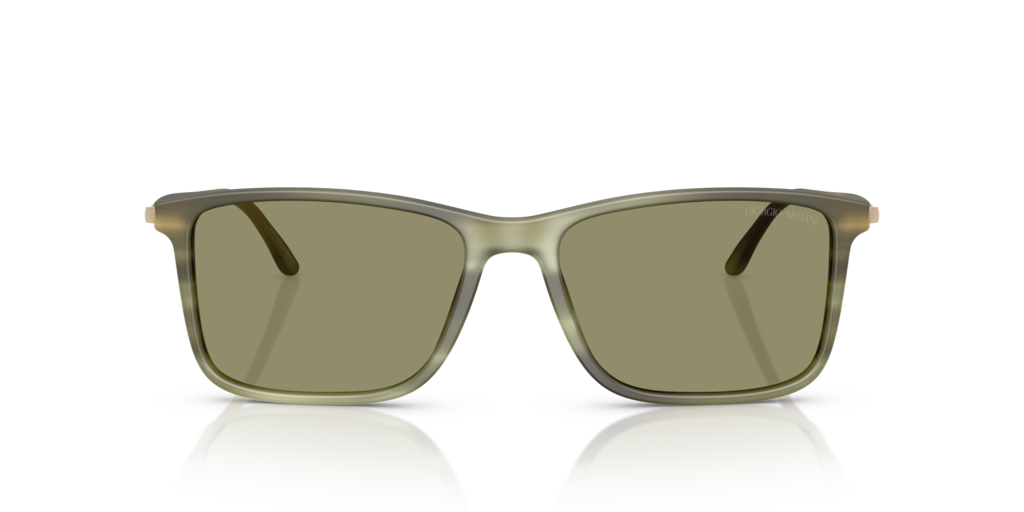 Giorgio Armani AR8218 61682A 56 Güneş Gözlükleri