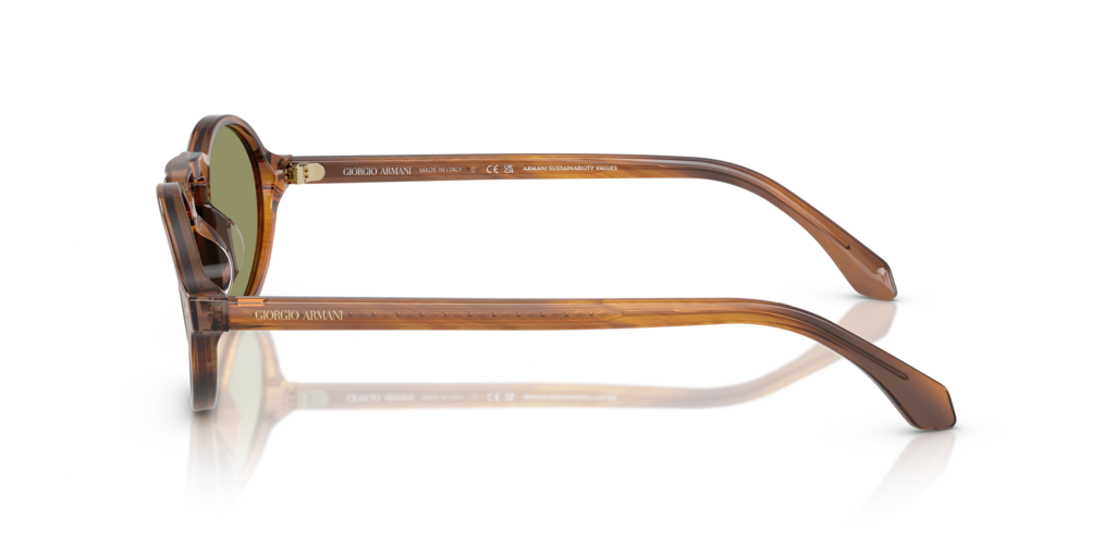 Giorgio Armani AR8219U 616314 52 Güneş Gözlükleri